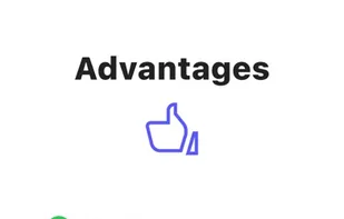 MirrorMeister screenshot 3