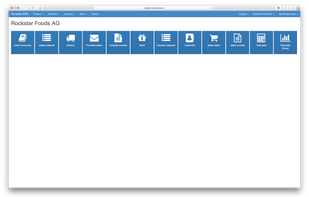 Rockstar ERP screenshot 2