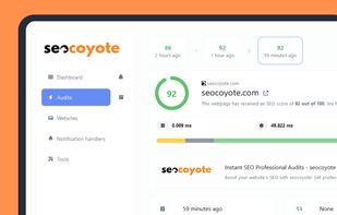 seocoyote screenshot 1