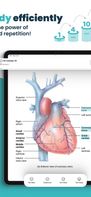 Voovo: AI Study Flashcards screenshot 2
