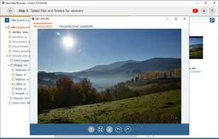 File preview in Raise Data Recovery