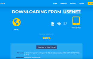 The download page where download will be prepared, decoded and after downloaded.