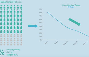 RiskAverse screenshot 3