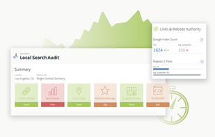 BrightLocal screenshot 1