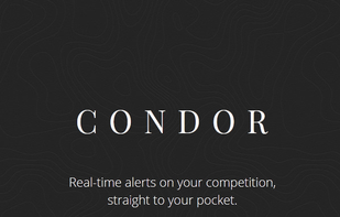 CONDOR screenshot 1