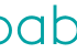 iBabs Board Portal Software icon