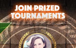 Backgammon Pasha screenshot 2