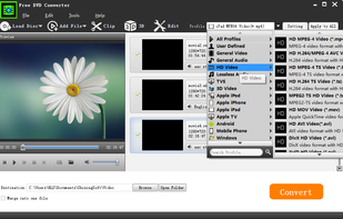 Free DVD Converter screenshot 1