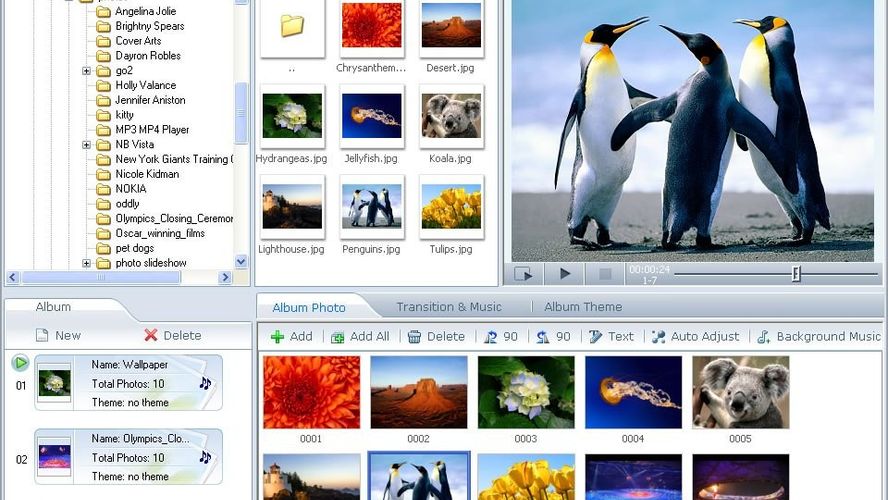 Anvsoft Photo DVD Maker Alternatives and Similar Software