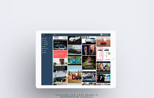 YouScan screenshot 1