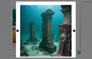Expert Comments screenshot 1
