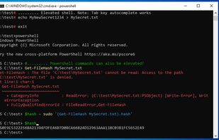 gsudo screenshot 3