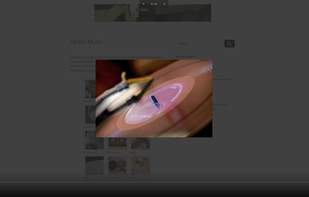 Gallery WordPress Plugin screenshot 2
