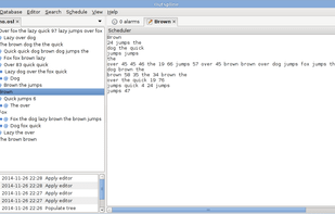 An item's editor interface.