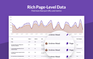 View page attributes alongside metrics like Views & Visitors.