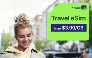 Primasim screenshot 1