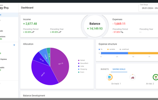 Ashampoo Money Pro screenshot 2