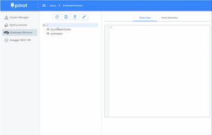 Apache Pinot screenshot 2