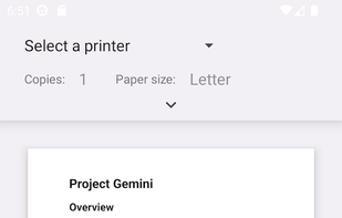 Rosy Crow screenshot 2