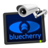 Bluecherry icon