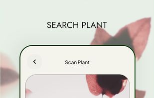 Taru Plant Finder & Weather screenshot 3