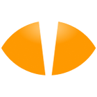 InsightCat icon