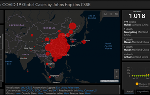 Coronavirus COVID-19 Global Cases screenshot 1