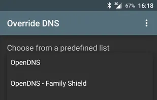 Override DNS screenshot 1