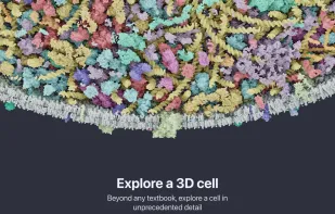 CellWalk screenshot 1