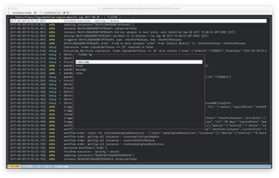 json-log-viewer screenshot 2