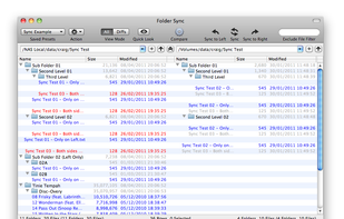 The Main Folder Sync Window