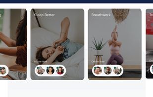 TaskHuman screenshot 3