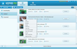 KeepVid Pro