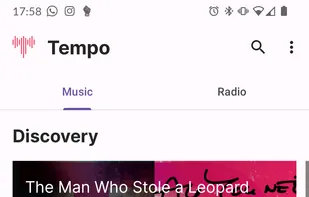 Tempo Subsonic Client screenshot 1