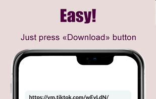 TikTok Video Downloader screenshot 1