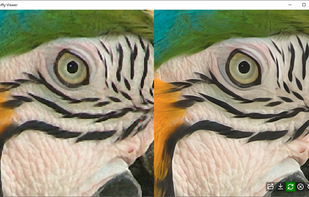 Butterfly Viewer screenshot 1