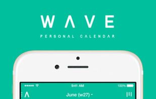 WAVE Calendar screenshot 1