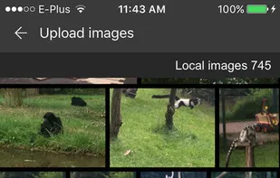 Pixabay screenshot 3