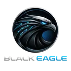 BlackEagleAI icon