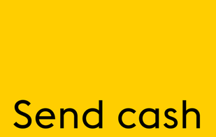 Western Union screenshot 1