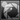 PT Photo Editor icon