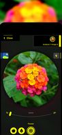 Plant Identification screenshot 1