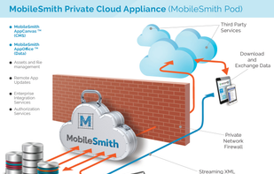 MobileSmith Pod services for larger projects