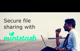 mintstash screenshot 1