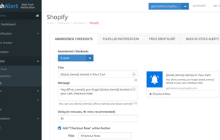 E-commerce Automation