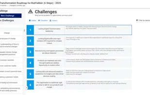 Determine and articulate your key challenges.