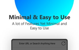 Incognito Browser screenshot 1