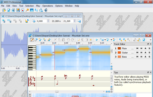 WIDI Recognition System screenshot 1