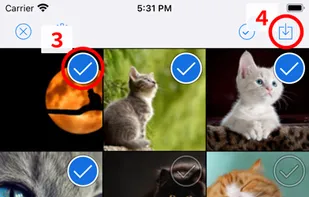 ImageDrain screenshot 2