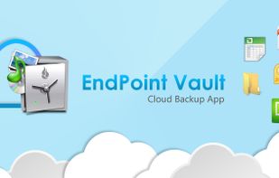 endpoint Vault Cloud Storage Services